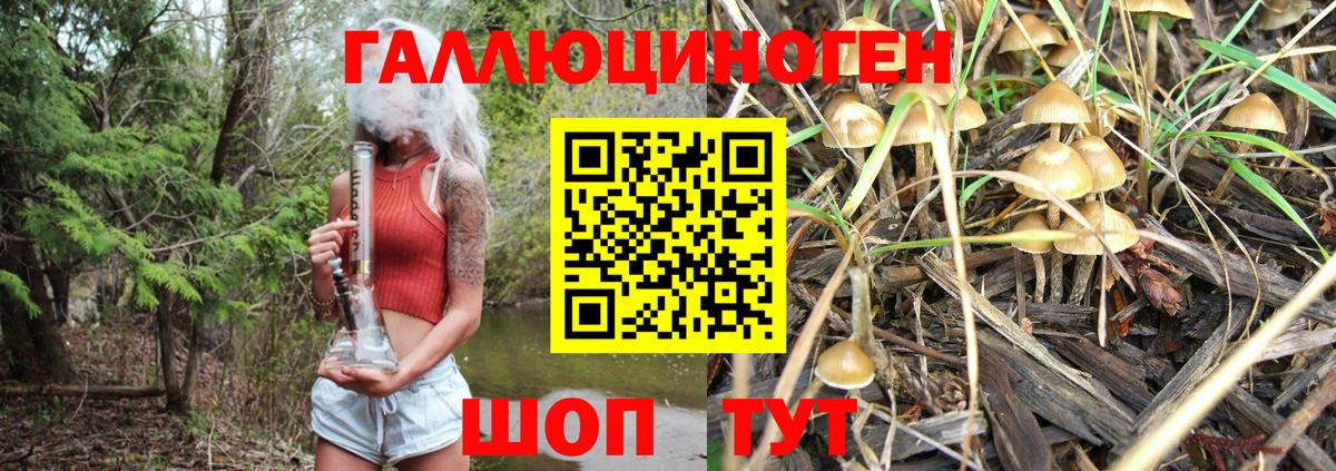Галлюциногенные грибы мухоморы Новый Уренгой