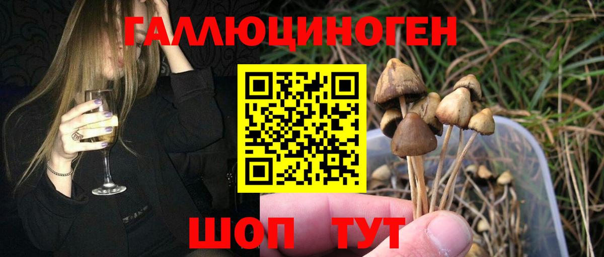 Новый Уренгой  Галлюциногенные грибы мицелий  Галлюциногенные грибы ЛСД  Вход с VPN 
