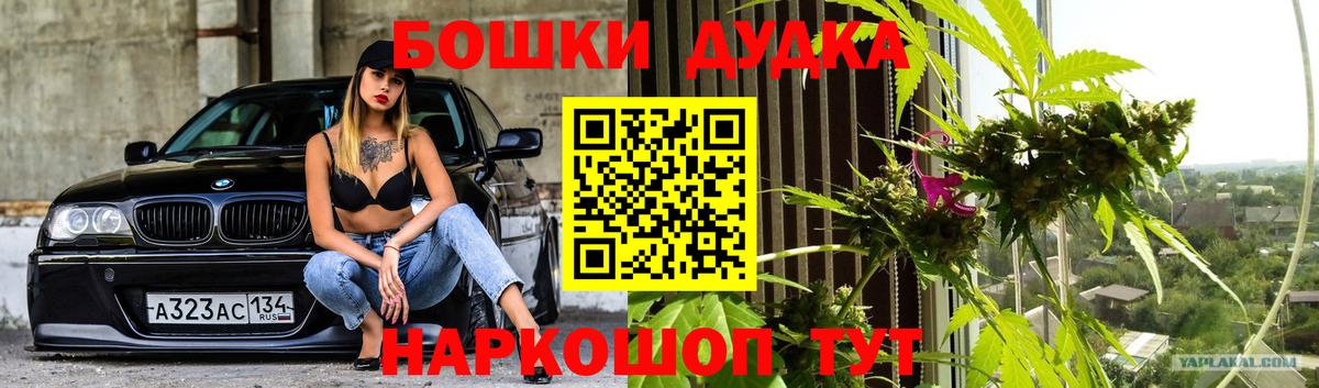 Новый Уренгой  Шишки марихуана планчик  Вход с VPN  Шишки марихуана ГИДРОПОН 
